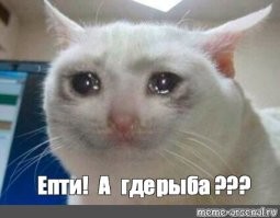 18 интересных и живописных суши, которые даже есть жалко