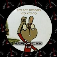 В Новороссийске енот застрял в мусорном баке