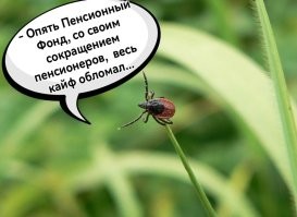 Вместо молодой горячей...