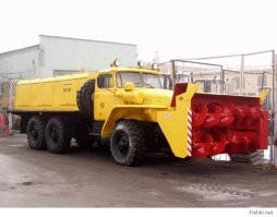 В Москве арестовали отчаянного догхантера, который «кошмарил» жильцов элитного ЖК и не давал им выгуливать животных