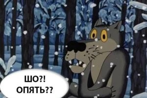 "Дикость какая-то": грузины вышли на митинг перед лайнером с российскими туристами