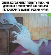 Это моя жена утром! Потому что я вечером мылся последним! И ещё должен быть крик - мляаа!