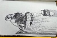 Ты особенно не трусь: будет лёгкий котокусь