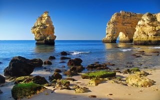 Ну пляжи разные бывают. В Крыму таких много например.
