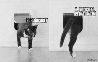 Сосиски в тесте, как приготовить сосиски и другие варианты поросят в одеяле