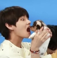 Ни чего не путаем?:)))