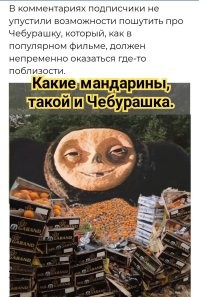 Гора мандаринов выросла на юге Московской области