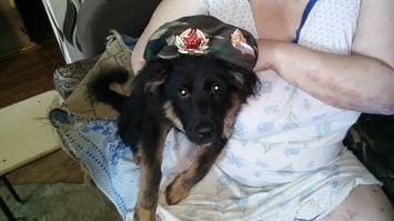 И вот еще !!! Сейчас ему уже почти два  Хвост как у петуха ))))