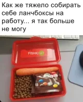 Слева это собачий корм?