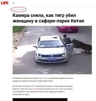 и было это аж в 2016 - ом году. как говорится: "с подключением."