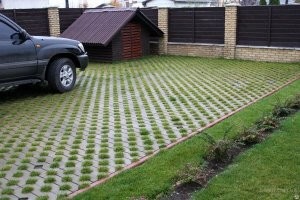 Если целью тасканий было переживание за газон, то барышня немножечко дура. Ибо на видео четко видно, что самокаты стоят на полосе экогазона. Более того на этом газоне можно и нужно парковать не только самокаты но и автомобили. Я так понимаю это какой то новый ЖК. И скорее всего эта полоса была предусмотрена специально, чтл бы жильцы не остовляли авто вдоль дороги и не мешали проезду скорых, пожарных, мусорщиков, и других габаритных авто. На таком газоне с ним ни чего не будет. У самого на даче так сделано. Машины ставлю, траве пофиг - прет так что косить з...й6aлся.