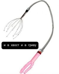 Комментарии и картинки из соцсетей. Свежак за 28 июля