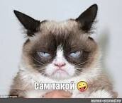 Очень говорливый попугай расцеловал своих детёнышей и множество раз признался им в любви