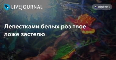 В Набережных Челнах пьяный мужчина застелил цветами выход из подъезда возлюбленной, но уснул