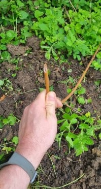 Это не оптоволокно больше походит на полив. Оптоволокно не кидают где попало.