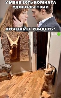 Жиза!
У родителей кошак был, матерый.
Ему батька на когтедерку отпиливал кусок доски и вешал рядом с дверью
На полгода-год хватало