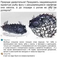 Скрины из соцсетей&nbsp;