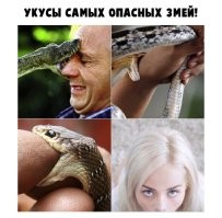 Гггггг)