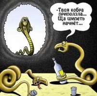 Индиец пригрел змею на груди