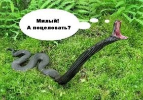 Индиец пригрел змею на груди