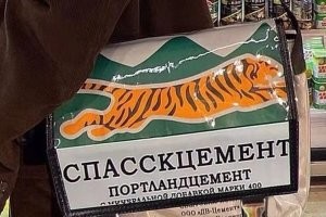 Еще к такому наряду надо добавить такую сумку.Она тоже популярна в Китае.
