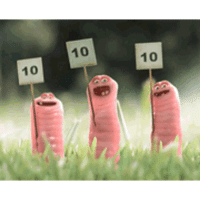 "Тройной тулуп" из-за непристёгнутого ремня безопасности