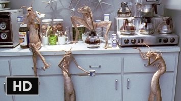 Прикольные и жизненные демотиваторы