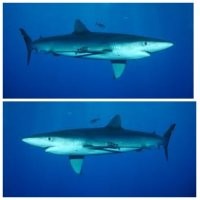 С другой стороны она выглядит так же