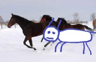 Скрины из соцсетей&nbsp;