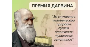 Члены семьи попытались выжить в лесу по инструкциям с YouTube и не смогли