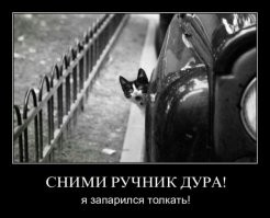 Девушка остановила бесконтрольный грузовик