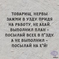 Скрины из соцсетей&nbsp;