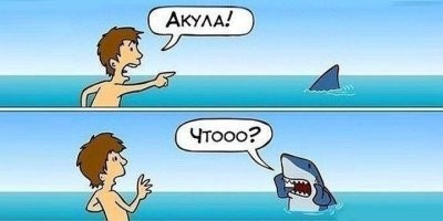 Российские рыбаки поиграли с акулой в Приморье