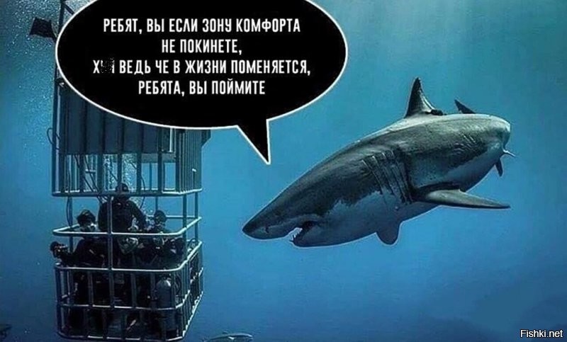 Российские рыбаки поиграли с акулой в Приморье
