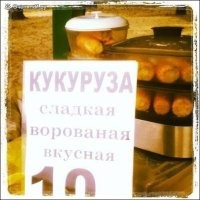 самое главное: воруют кормовую кукурузус полей. она жёсткая, но покупается.