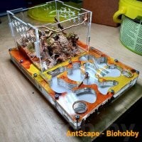 В таких пробирках обычно продаются Королева и пару рабочих муравьёв. Их используют для домашних муравейников. Ватка делит колбу пополам и отделяет муравья от сладкой воды, которую они едят пока не доставят до места проживания. Сам долго хотел завести дома муравейник, но решил не рисковать, так как муравьи могут убежать из своего жилища.

Ценители собирают со временем из разных модулей огромные комплексы дома и кормят муравьёв разными насекомыми и мелкими животными.

Выглядит как то так всё это: