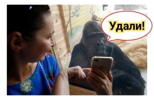 На общую тему&nbsp;