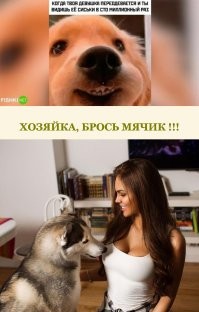 Комментарии и картинки из соцсетей. Свежак за 2 августа