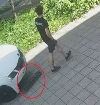 Он перед наездом уже что-то забодал, сначала пошёл назад смотреть,  похоже там ещё страшнее