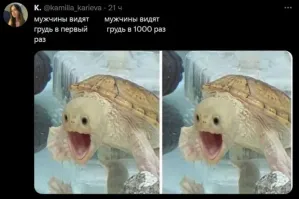 Комментарии и картинки из соцсетей. Свежак за 2 августа