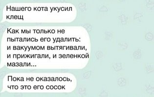 Скрины из соцсетей&nbsp;