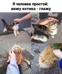 40 любопытных ретро-снимков с кошками