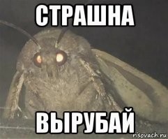 30 пугающих снимков затопленных объектов