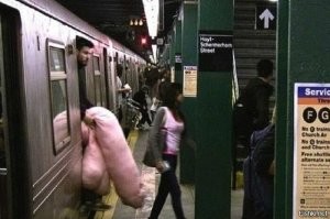 Гигантские штуки, внушительные размеры которых заставляют раскрыть рот от изумления