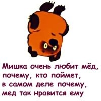 Медведь несколько дней пытался добраться до меда 
