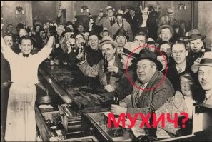 20 любопытных кадров с просторов сети