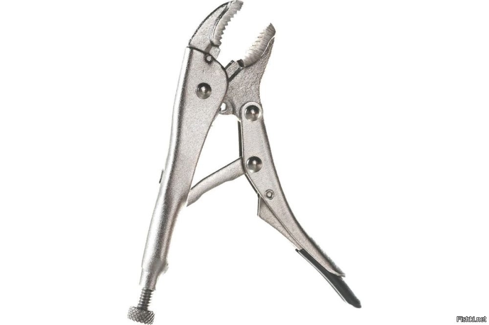 Скрины из соцсетей&nbsp;