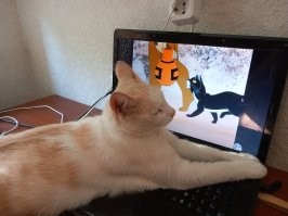 Из дикого леса дикая твать. Реальгно ходит где вдумается и гуляет сам по себе. Но приходит безопасно поспать,погреться и пожрать. Всё как в рассказке. :)