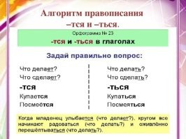 Комментарии и картинки из соцсетей. Свежак за 2 августа