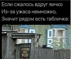 30 животных, которые до чёртиков напугали своих хозяев